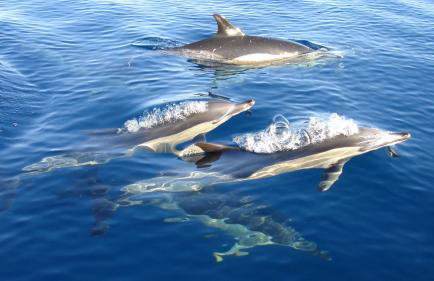 Sagres Time Apartamentos - Foto 47