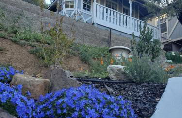 The Castle of Dreams - Foto 47