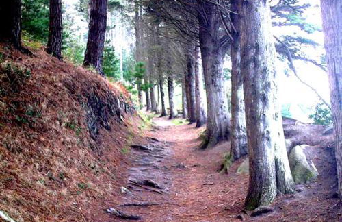 Belle vue sur mer - Foto 32