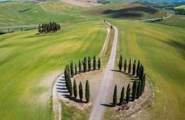 Agriturismo Poggio Tobruk - Foto 8