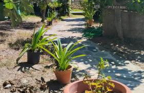 Cozy studio in Valencia de Alcántara 25 m² lovely garden - Foto 59