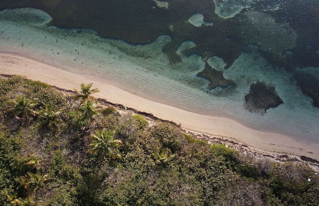 Tropical Breeze Escapes Couples Studio - Foto 56