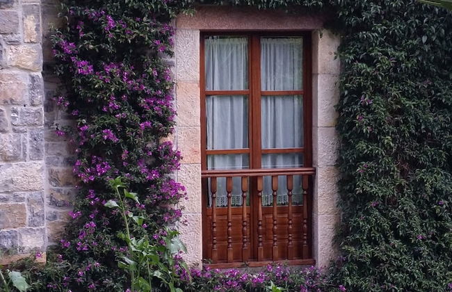 Trisqueles y Buganvillas - Photo 46