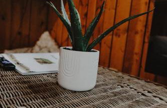 Lake Huron Lady of the Lake Cabin w HotTub, Sauna - Foto 23