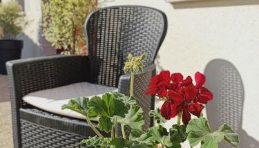 Gîte atypique plus haut de Vendée 10mn Puy duFou - Photo 4