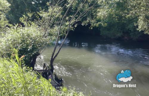 Dragon’s Nest: Cozy & modern attic loft Nuremberg - Foto 12