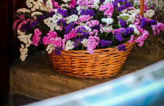 Casa das Afonsas - Foto 22