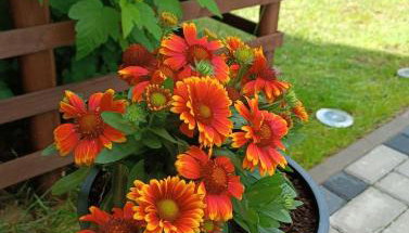 Domek pod Dębami Bogaczewo - Foto 5