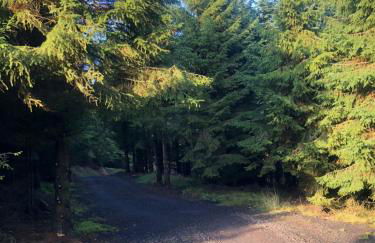 Kersebrock Kabins - Foto 54