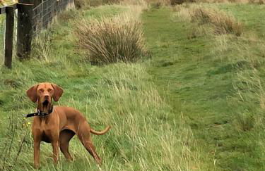 Number Fifty Six - Foto 22