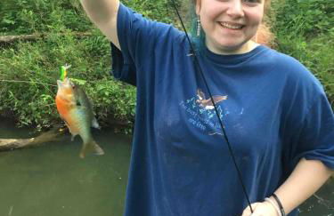 Beautiful Secluded Log Cabin - Foto 29