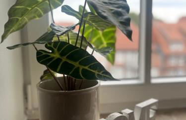 Zeitapartments Am Fischmarkt - Foto 35