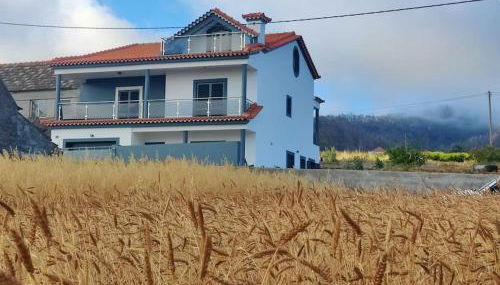 Casa Neto Jardim - Foto 3