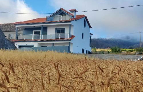 Casa Neto Jardim - Foto 3