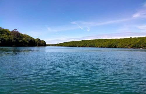 Modern cosy apartment walking distance to many cove beaches and coast path walks as well as the famous Helford river - Foto 21