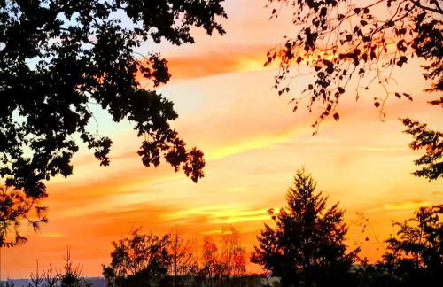 Ferienhaus Ilfeld - Foto 13