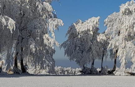 Alt Monjoie - Foto 37