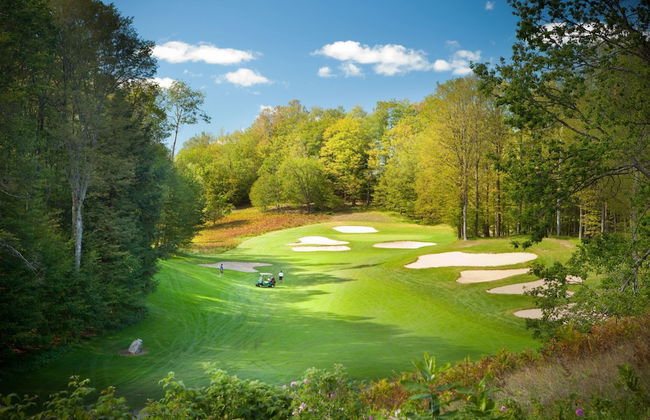 Mountain Run at Boyne - Photo 19