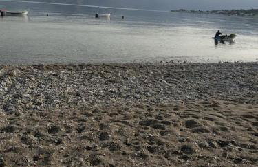 Greece Seaside villa 200sq m 20m from sea - Foto 43