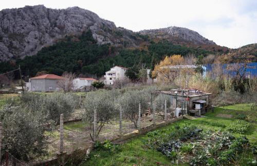 Apartments with a swimming pool Zakucac, Omis - 5954 - Photo 18