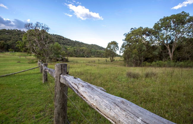 Wisteria Cottage and Cabins - Photo 31