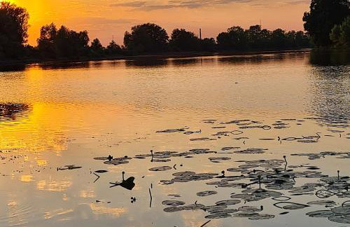 Ferienwohnung Havelnixe - Photo 12