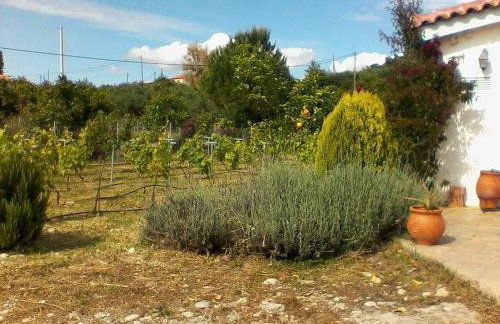 Villa Tatiana - Photo 19