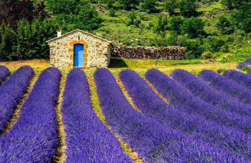 La Verdière - Foto 10
