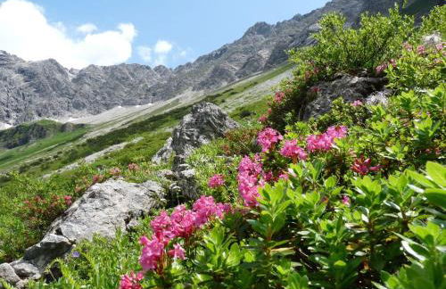 Haus Angelika - Foto 12