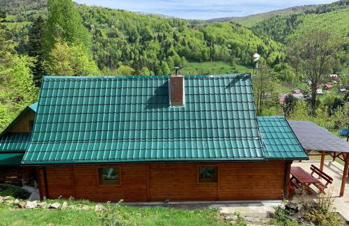 Pod Srebrzystym Świerkiem - Jacuzzi - Foto 4