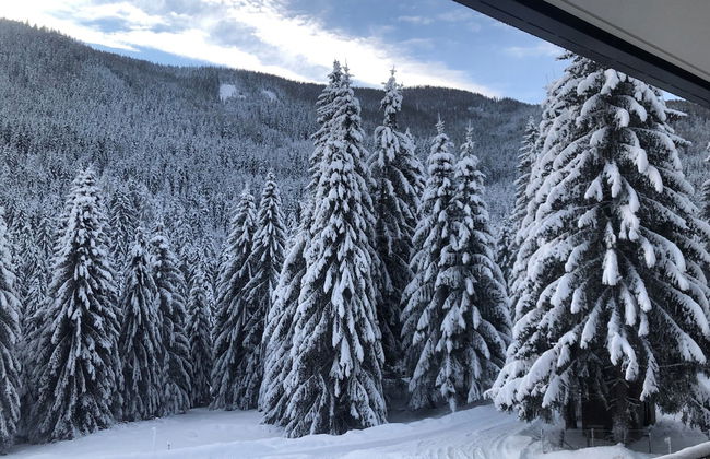 Luxury Apartment With Stunning Mountain View - Foto 28