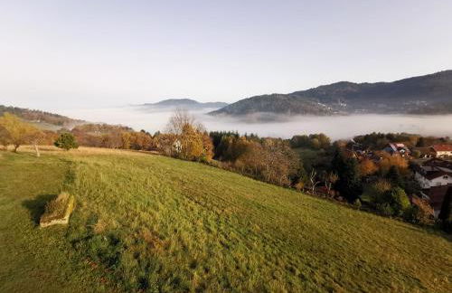 Haus am Berg mit Wellnessbereich, Bar und Panorama - Foto 36
