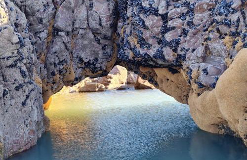 Rockpool - Bude - Foto 29