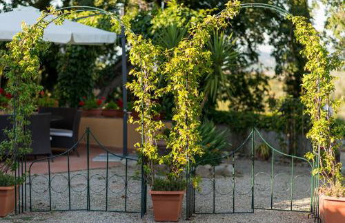 Il Leccio - Casa Toscana San Gimignano - Foto 39