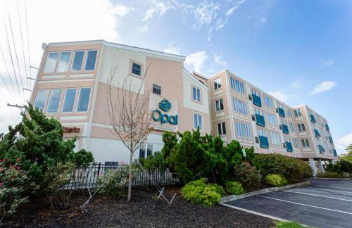 THE Opal S302 - Photo 22