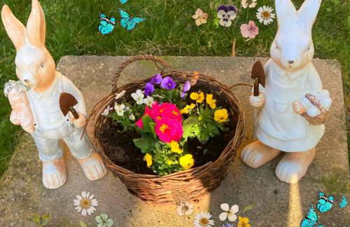 Landhauswohnung am Thüringer Meer - Fühlen wie Zuhause - Foto 36