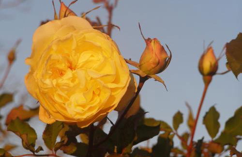 Cascina Curairone - Foto 18