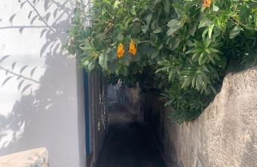 Villa Giacinti - Foto 47