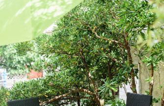 Apartman Gržetić - Foto 66