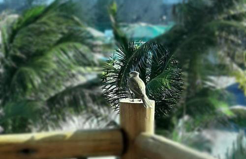 VG SUN CUMBUCO-Lake Flat C1 201 1 a 4 pessoas - Photo 34