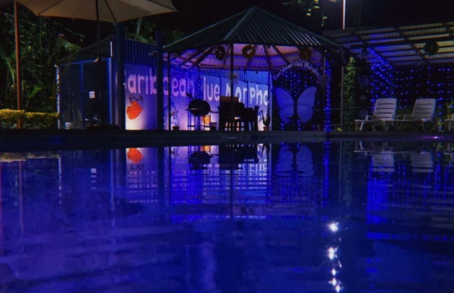 Caribbean Blue Morpho - Foto 31