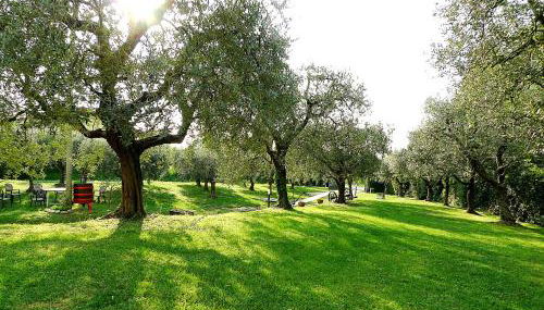 Al Vajo - Foto 1, Garden