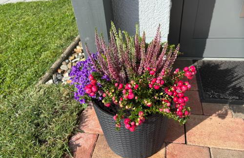 Gemütliche Ferienwohnung mit Sonnenterrasse - Foto 45