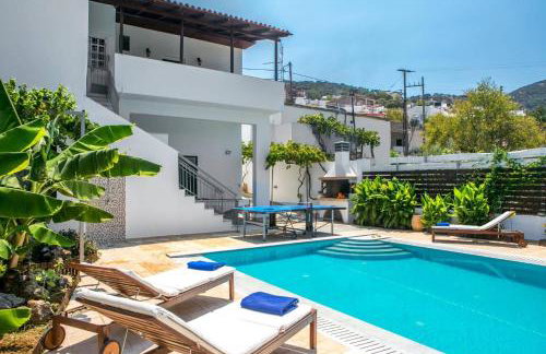 Villa Alexis House by Villa Plus - Foto 20