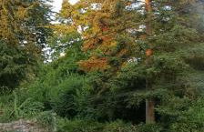 maison de pays a Thésée - Foto 11