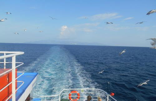 John and Tania's Garden - Photo 48