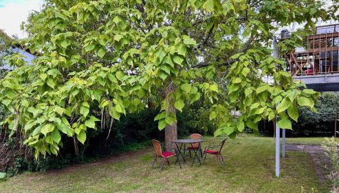 Ferienwohnung Vindumi - Foto 2