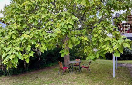 Ferienwohnung Vindumi - Foto 2