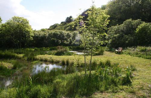 Timber Hill Self Catering Cedar Lodges - Foto 36