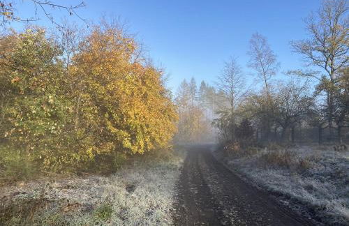 Gittas Paradiesperle - Foto 18